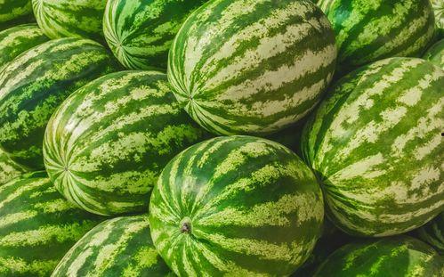 吃瓜网官网免费观看 吃瓜爆料短剧吃瓜爆料大赛每日聚集地,免费观看吃瓜爆料短剧，揭秘吃瓜爆料大赛每日精彩瞬间