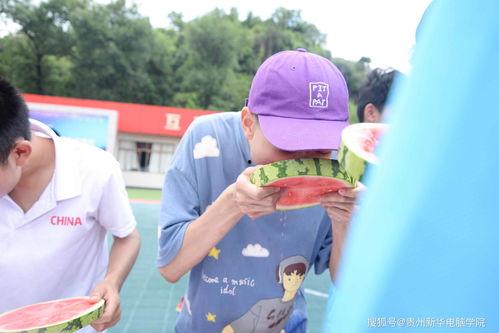 每日大赛 吃瓜每日大赛,吃瓜群众狂欢盛宴