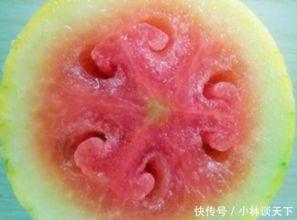 56吃瓜网,揭秘娱乐圈最新热点，带你领略明星幕后故事