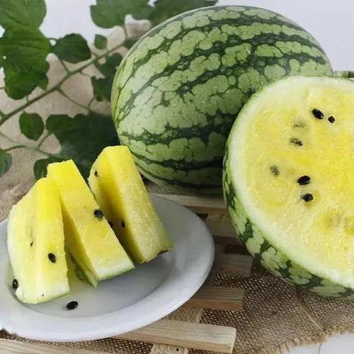 吃瓜黑料精品一区,独家爆料，真相大白